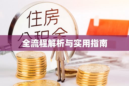 杏花岭全流程解析与实用指南