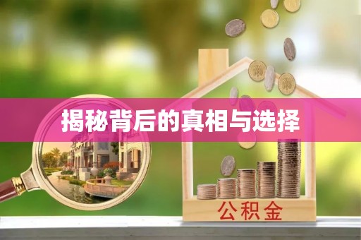 杏花岭揭秘背后的真相与选择