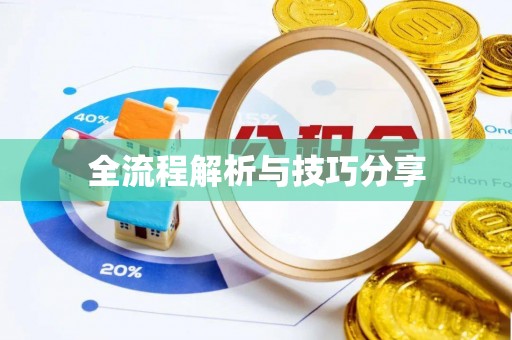 杏花岭全流程解析与技巧分享