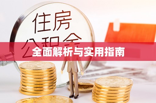 杏花岭全面解析与实用指南